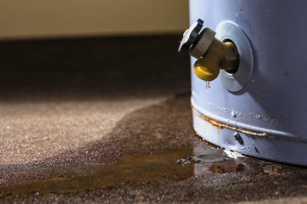 Best Ceiling water damage repair  in Gold Canyon, AZ