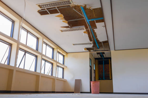 Best Flooded house restoration  in Gold Canyon, AZ