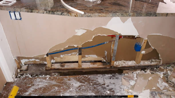 Best Basement water damage restoration  in Gold Canyon, AZ