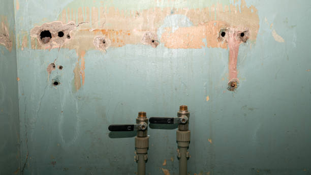 Best Sewage cleanup and water damage restoration  in Gold Canyon, AZ