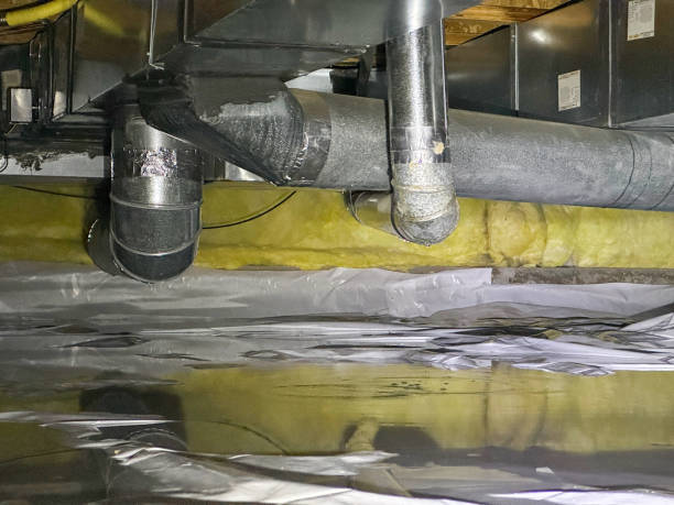 Best Professional water damage repair  in Gold Canyon, AZ