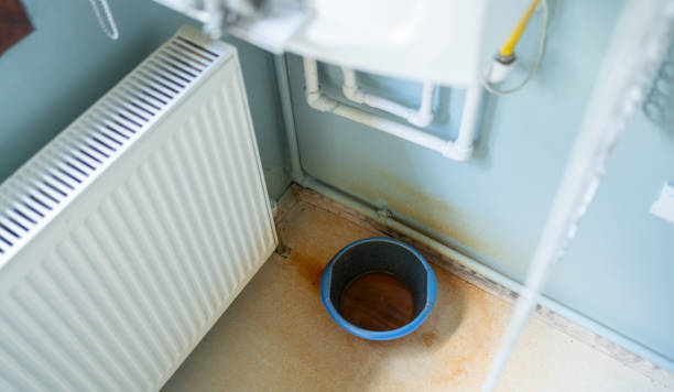 Best Water damage cleanup near me  in Gold Canyon, AZ